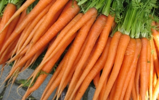 gas heaters carrots not sticks